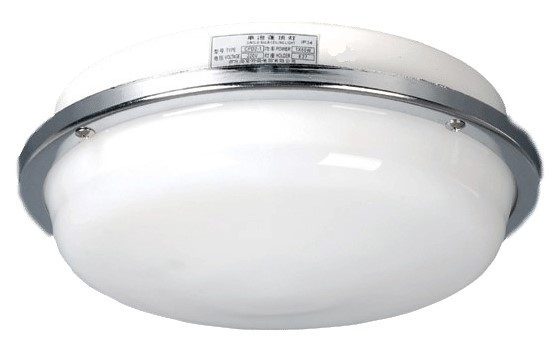 CPD2-1 Ceiling Light